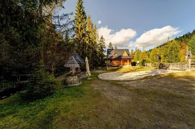 a large yard with a house in the woods at Bacówka Polanki in Obidowa
