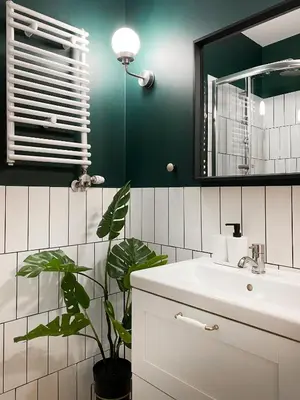 a bathroom with a sink and a mirror and a plant at Charming Apartment, Wawel & Old Town Krakow in Kraków