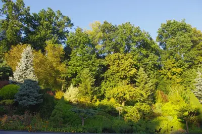 a forest of trees in autumn colors at Dębowy Zakątek - SPOKOJNY, KOMFORTOWY WYPOCZYNEK W OKOLICY KRAKOWA in Radziszów