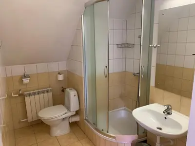 a bathroom with a toilet and a sink and a shower at Miodowy Raj in Targanice