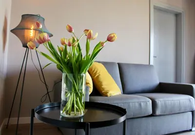 a vase of flowers on a table in front of a couch at Garden Loft in Roczyny