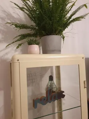 a shelf with a plant and a bottle on it at Moti Apartments in Kraków