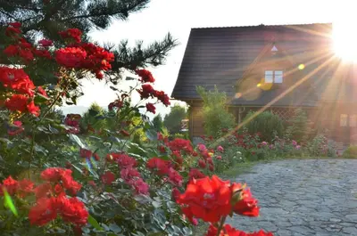 a house with red flowers in front of a house at Góralska Ostoja in Pcim