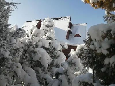 a house covered in snow next to trees at Góralska Ostoja in Pcim