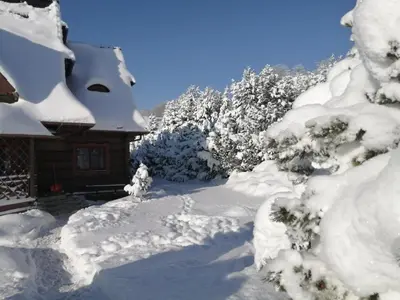 a house covered in snow next to trees at Góralska Ostoja in Pcim