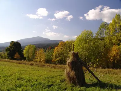 a snow covered mountain in a field with trees at OW JĘDRUŚ in Zawoja