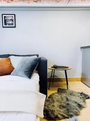 a dog laying on the floor next to a couch at Unique studio perfect for couples, Old Podgórze in Kraków