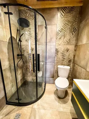 a bathroom with a shower and a toilet at Leśne Zacisze Iwkowa in Iwkowa