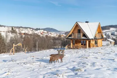 two animals standing in the snow in front of a cabin at Bacówka na Kubanówce in Rdzawka