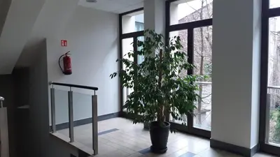 a potted plant in a hallway with windows at Apartament Wielopole 17 in Kraków