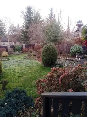 a garden with a bench in a yard at Pokój w domu z dużym ogrodem in Kraków