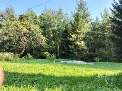 a field of grass with trees in the background at Zielony Zakątek in Złota
