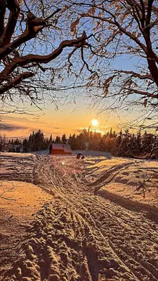 a snowy field with the sun setting in the background at Domek w Górach- Bacówka u Dudka in Nowy Targ