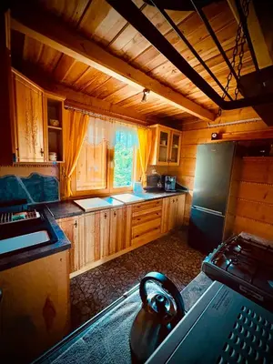 a kitchen with wooden cabinets and a black refrigerator at Domek w Górach- Bacówka u Dudka in Nowy Targ