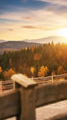 a view of a forest from a wooden fence at Beskidzki Reset in Budzów