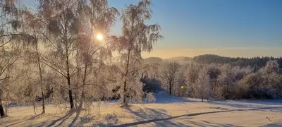 a tree covered in snow with the sun behind it at Beskidzki Reset in Budzów