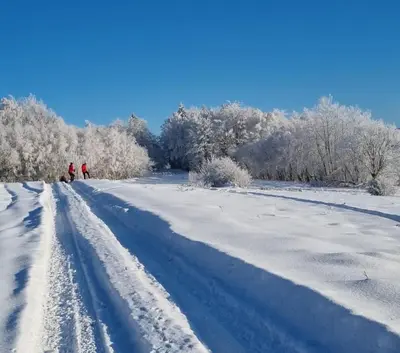 two people walking down a snow covered road at Beskidzki Reset in Budzów