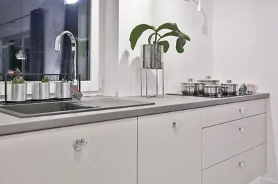 a kitchen with a sink and a potted plant at Nowoczesne Apartamenty typu Superior - Bulwary Rabka Zdrój - Balia - Blisko Park Zdrojowy in Rabka