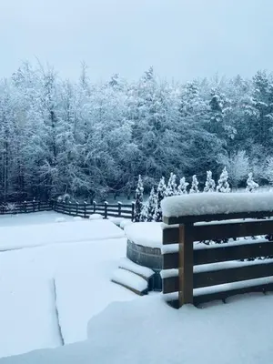 a snow covered park with a bench and trees at Willa Stryszawka in Stryszawa