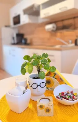 a kitchen with a sink and a counter top with aounter at Domek na Wiejskiej in Zator