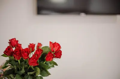 a bouquet of red roses in a vase at Jura Hotel Osiek in Olkusz