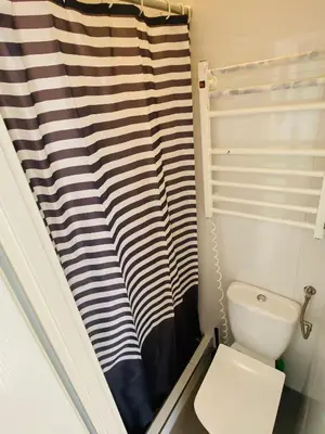 a bathroom with a toilet and a striped shower curtain at Luxodonta Apartment in Kraków