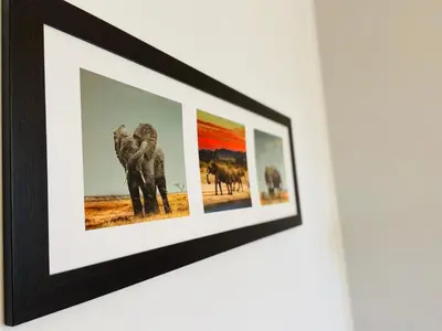 a framed picture of elephants on a wall at Luxodonta Apartment in Kraków