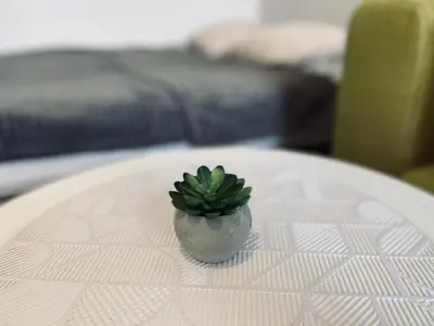 a small green plant sitting on top of a table at Luxodonta Apartment in Kraków