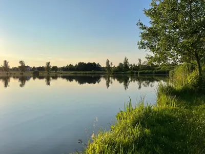 a view of a lake with trees and grass at RedDoor Zator Lake Houses in Zator