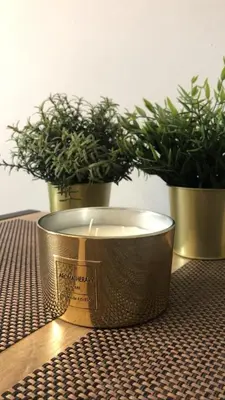 two potted plants on a table with a trophy at Glamorous Apartment Old Town Cracow in Kraków