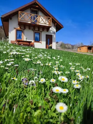 a house on a hill with a field of flowers at Słoneczna Chałupka in Zawoja