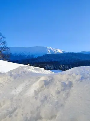 a pile of snow on the side of a mountain at Słoneczna Chałupka in Zawoja