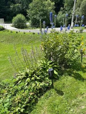 a garden with a bunch of flowers in the grass at LEŚNE ZACISZE OCHOTNICA in Ochotnica Górna