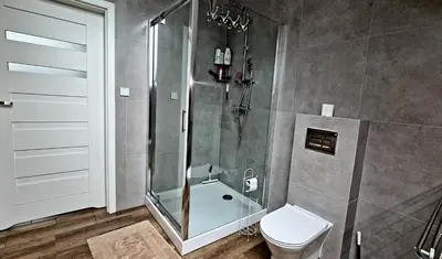 a bathroom with a shower and a toilet at Apartamenty ASLux - Noclegi Energylandia Zator in Zator