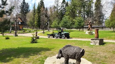 a statue of a bear in a park at Luksusowy domek z jaskinią SPA - Osada Jaworzyny in Tokarnia