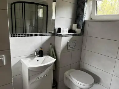 a bathroom with a sink and a toilet and a mirror at Domek całoroczny Zagroda MłyńSKI in Sułkowice