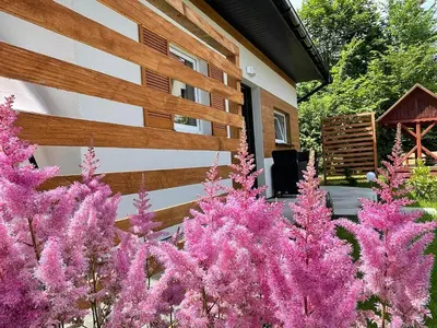 a bunch of pink flowers in front of a building at Domek całoroczny Zagroda MłyńSKI in Sułkowice