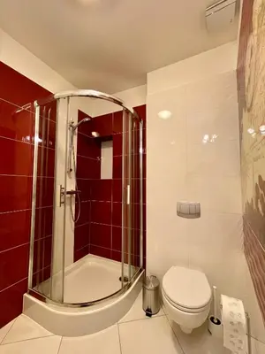 a bathroom with a toilet and a sink and a shower at Apartamenty Centrum in Olkusz