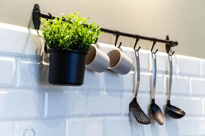a kitchen rack with utensils and a pot of plants at MILU Apartments Kurkowa in Kraków