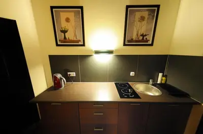 a kitchen with a counter and a sink and two pictures at Selene - Pantheon Apartments in Kraków