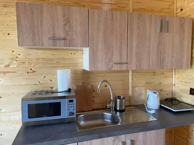 a kitchen with a sink and a microwave on a counter at Noclegi u Eli Zator Energylandia in Zator