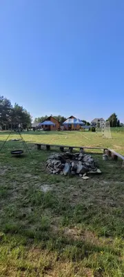 a group of animals laying on the ground in a field at Noclegi u Eli Zator Energylandia in Zator