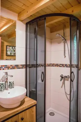 a bathroom with a sink and a shower at RESETówka nr 2 - domek rodzinny na odludziu in Jaszczurowa