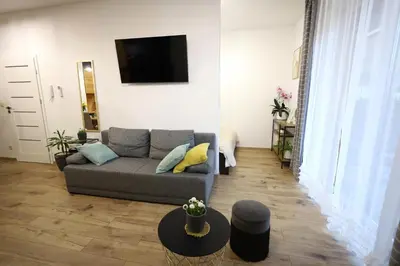 a living room with a couch and a tv at Apartament LUX in Zator