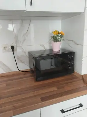 a microwave on a counter with a plant on it at Apartament 59 JUSTI in Zator