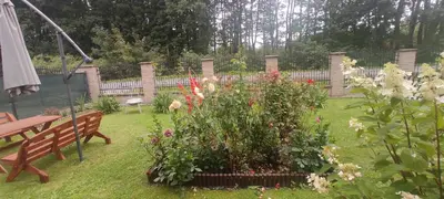 a garden with a bench and flowers in the yard at Apartamenty AgPa7 in Zator