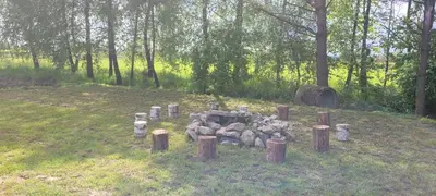 a pile of logs in a field with trees at Noclegi u Eli Zator Energylandia in Zator
