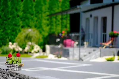 a potted plant sitting on a wall near a street at Apartamenty na Jurze in Siamoszyce