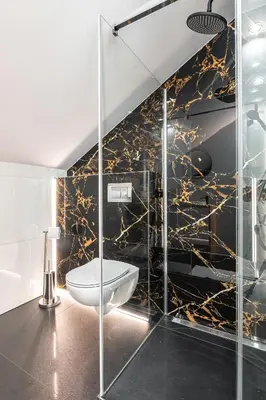a bathroom with a toilet and a black and gold wall at Bianco Apartamenty Laskowa - Zator in Zator