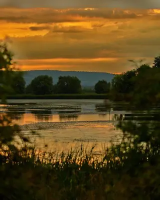 a sunset over a body of water with trees at Zatoria Luxury Glamping ZATOR in Zator